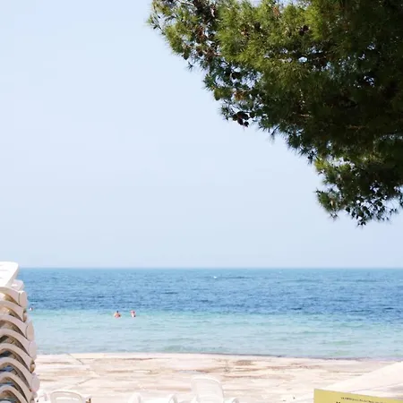 Apartment Punta